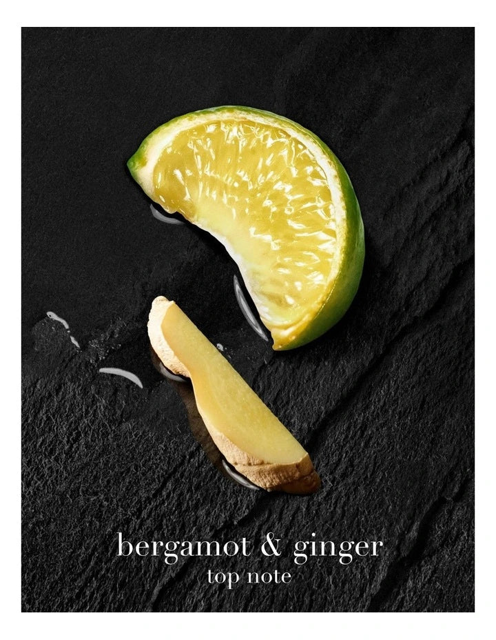 Giorgio Armani Acqua Di Gio Homme Parfum (100 ML)