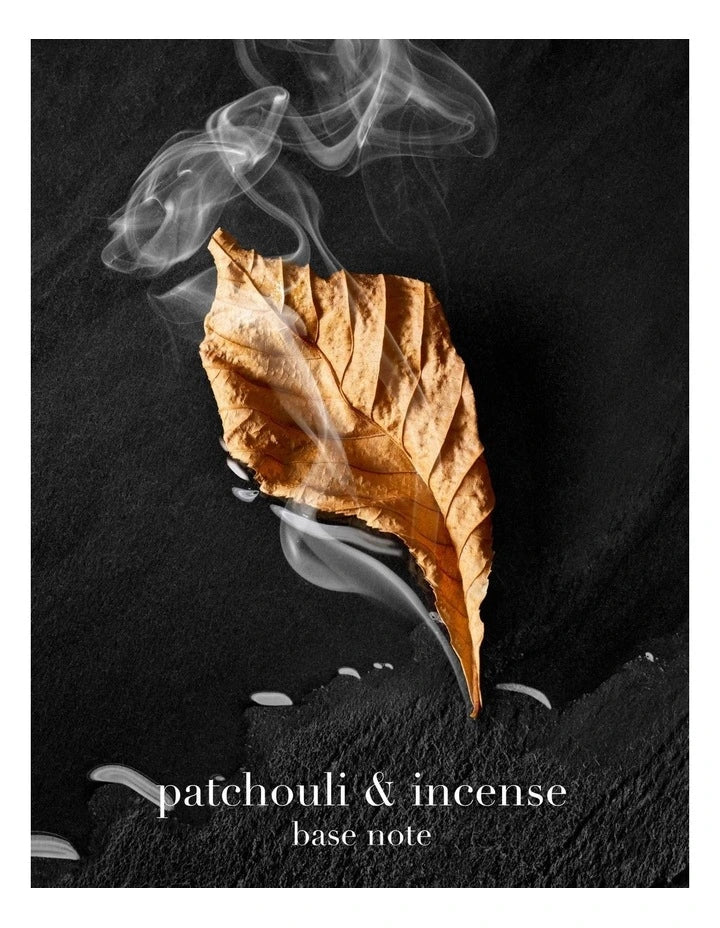 Giorgio Armani Acqua Di Gio Homme Parfum (100 ML)