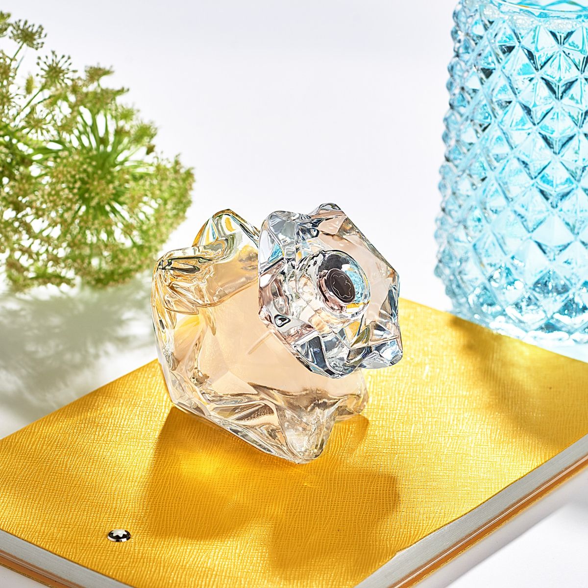 Montt Bllanc Lady Emblem EDP (75 ML)