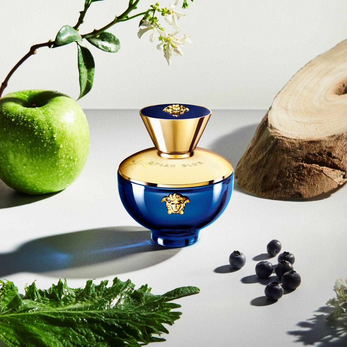 Versaace Dylan Blue pour Femme EDP (100 ML)