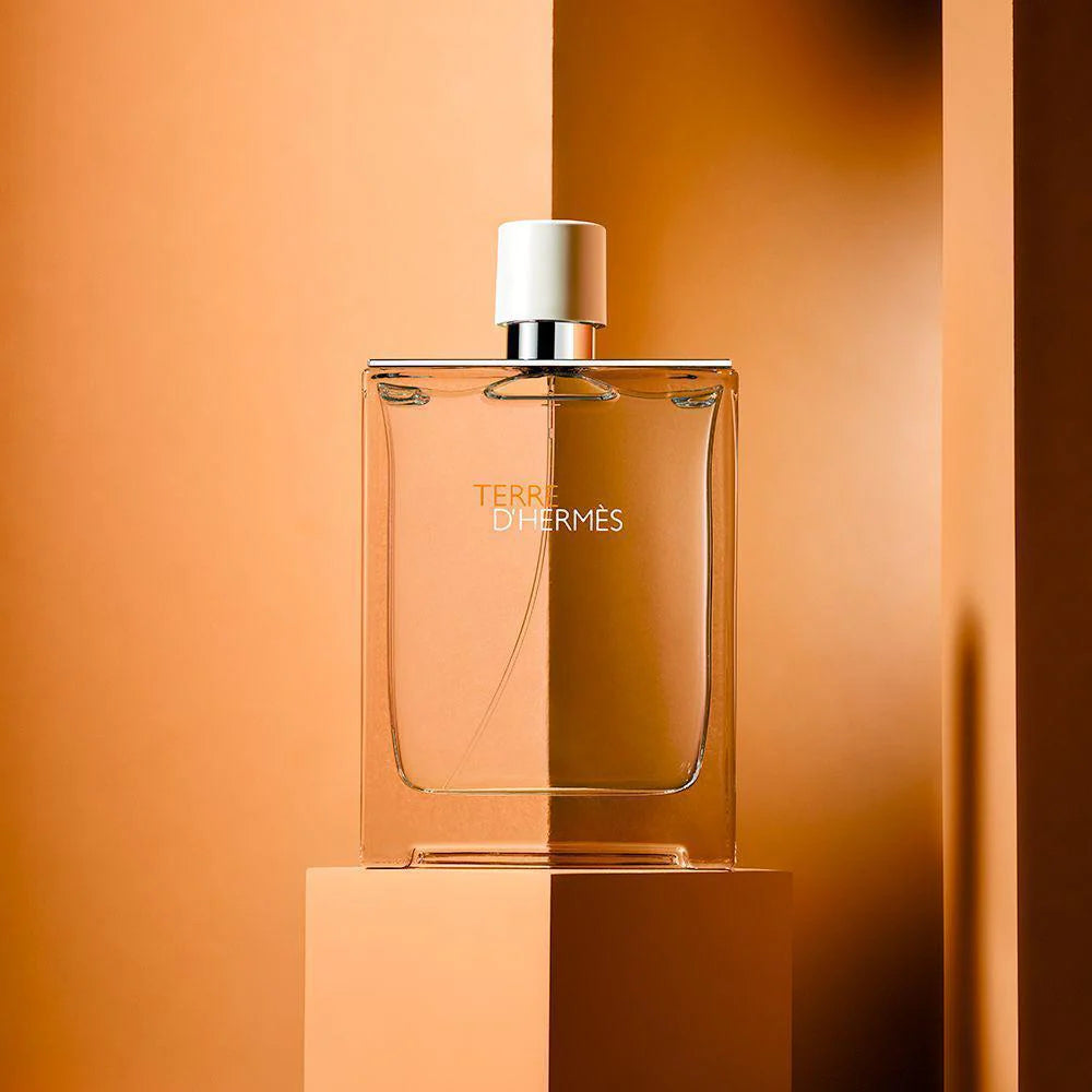 Hermes Terre D'Hermes EDT (200 ML)